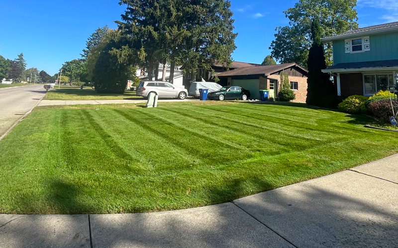lawn mowing freeland