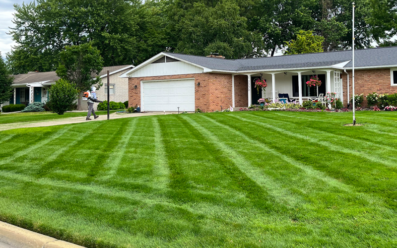lawn mowing freeland
