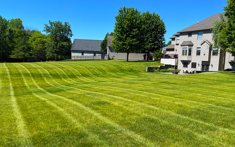 lawn mowing freeland