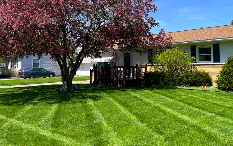 lawn mowing freeland