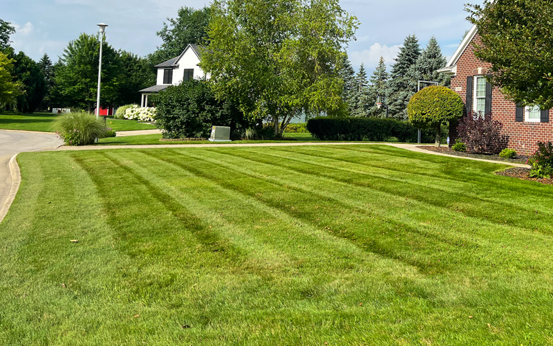 lawn mowing freeland