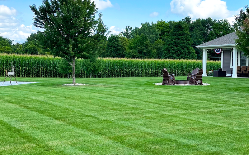 lawn mowing freeland