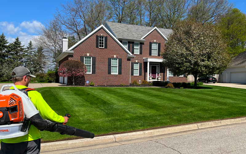 lawn mowing freeland