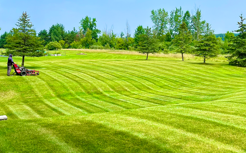 lawn mowing freeland