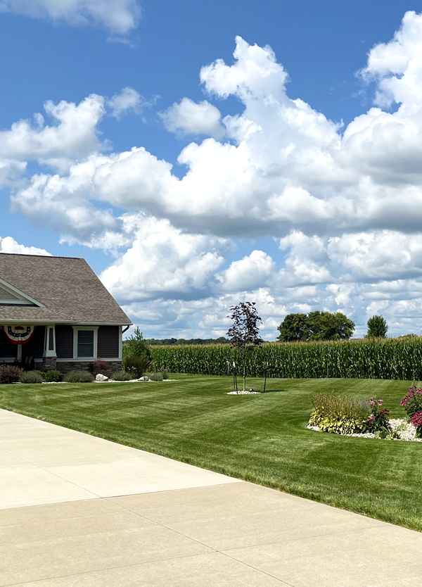 Leaf clean up Saginaw