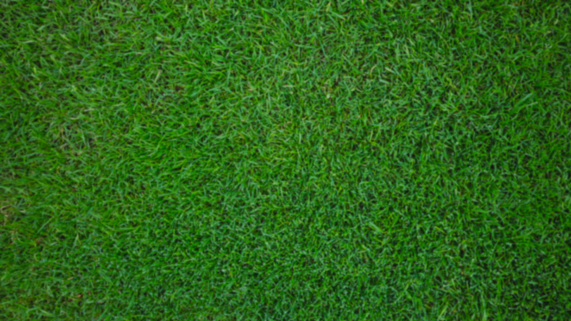 Mid Michigan Lawn Mowing Service